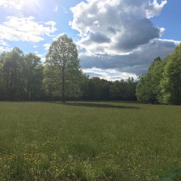 Meet your Posher, Kay - Picture 6 of 8